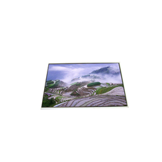 LP156WH2-TLB1 15,6 pulgadas 1366*768 220 cd/m módulo LCD