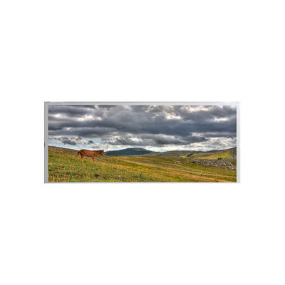 Buen precio AMPIRE pantalla LCD industrial AM-1920360ATZQW-00 de 19,1 pulgadas en línea