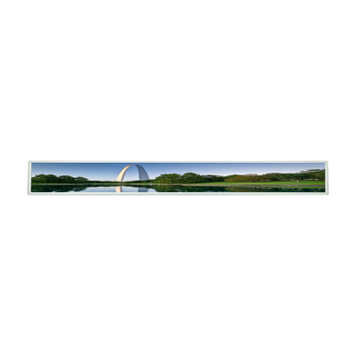 Buen precio panel LCD de 28,6 pulgadas para el panel de exhibición permanente del piso de la pantalla LCD de LG LD290EJE-FPA1 en línea