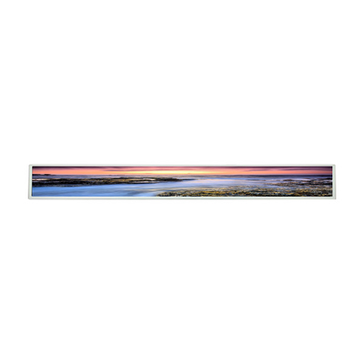 Buen precio 28Panel LCD de.6 pulgadas Para LG LD290EJN-FPN1 pantalla LCD Panel de visualización de pie en el piso en línea