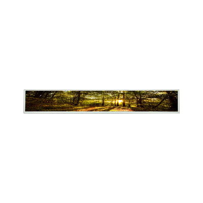 Buen precio LSI290LN01 29 módulo de la exhibición del uno-Si TFT LCD LCM de la pulgada en línea