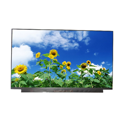 Buen precio AUO Vertical Stripe Panel LCD de 15,6 pulgadas B156HAN13.0 10 pines PANTALLA LCD en línea