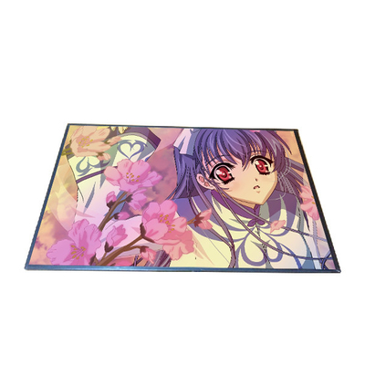 Buen precio 10,1 pantalla de visualización 800*1280 de la pulgada B101EAN02.2 TFT LCD en línea