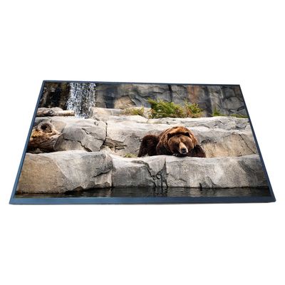 Buen precio Pantalla LCD original EV238FHM-N13 de BOE 23,8 exhibición de la resolución 1920*1080 LCD de la pulgada en línea