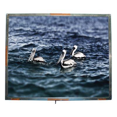 Buen precio El panel de la pantalla de la pulgada 1280*1024 TFT LCD del modelo 18,1 del CMO R181E2-L01 en línea