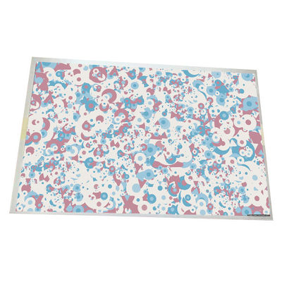 Buen precio Tamaño 10.1 pulgadas G101EAN02.5 1280*800 149PPI Panel LCD en línea