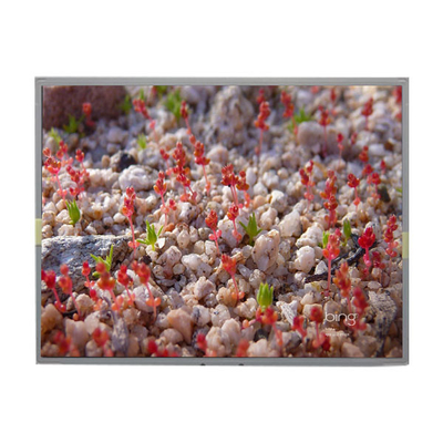Buen precio LM201WE2-SLBC TFT LCD Module Panel LCD de 20,1 pulgadas para LG en línea