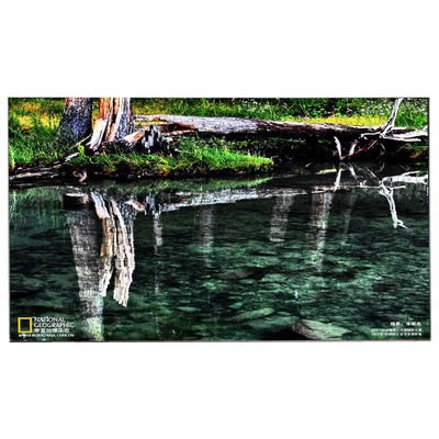 Buen precio LM238WF5-SSE4 23.8 pulgadas 1920*1080 Panel táctil LCD en línea