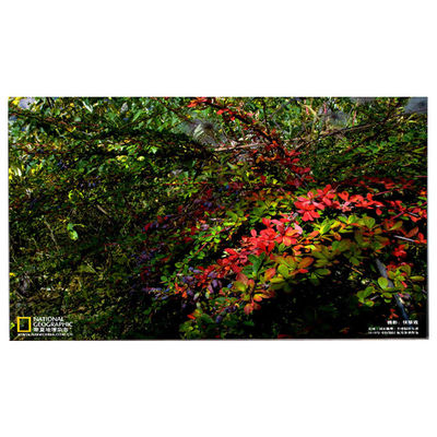 Buen precio LM238WF5-SSE5 Nueva pantalla LCD para el HP Pavilion 24-Df0014 en línea