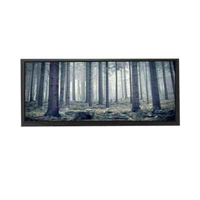 Buen precio AV103Z7M-N13-3850 10.3 pulgadas pantalla LCD LCD en línea