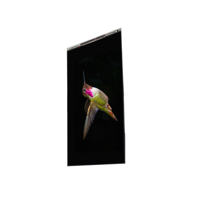 Buen precio BS062FBE-L30-6Q00 6.3 pulgadas pantalla LCD LCD PANEL para teléfono móvil en línea