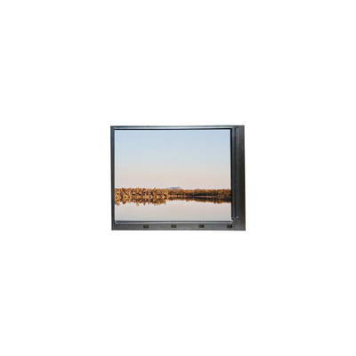 Buen precio MV238FHB-N31 Pantalla TFT-LCD de 23,8 pulgadas para monitor de escritorio en línea