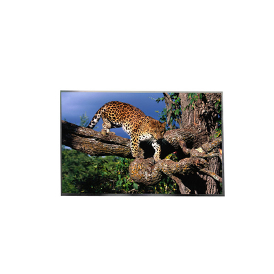 Buen precio Display de pantalla LCD LP156WFC-SPD8 de 15,6 pulgadas FHD IPS TFT para computadora portátil en línea