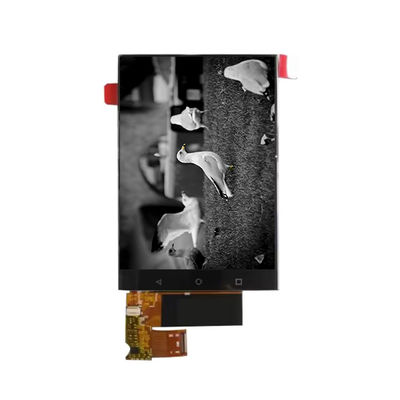 Buen precio 6.1 pulgadas 720*1560 BV061X6Q-N10-8Q01 Pantalla LCD para teléfono móvil en línea