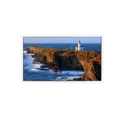 Buen precio Pantalla LCD de 49 pulgadas 1920*1080 DV490FHB-NV1 para pared de vídeo en línea