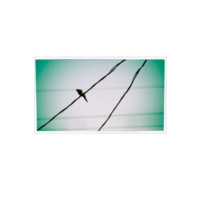 Buen precio TDA104-001V01 10,4 pulgadas 1024*768 1000:1 Pantalla LCD LVDS para el sector industrial en línea