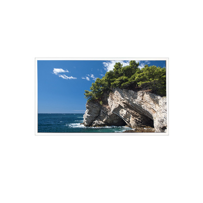 Buen precio TV101WXM-NM1 800*1280 10,1 pulgadas 39 pines Panel LCD 8S4PWLED en línea