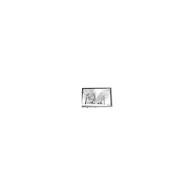 Buen precio 8.8 pulgadas 768*768 TPA088-001V02 16.7M 71% NTSC Panel LCD para el sector industrial en línea