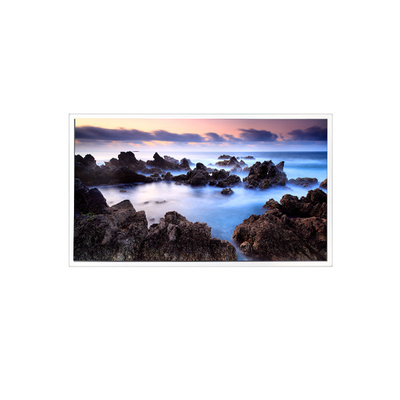 Buen precio TV201U0M-N00 20,1 pulgadas 1600*1200 1000:1 Pantalla de pantalla LCD en línea