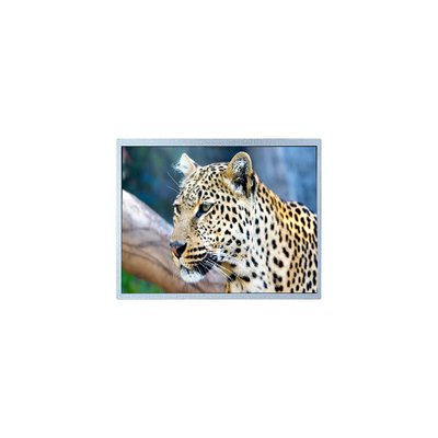 Buen precio Pantalla LCD para fotograma digital de 400*234 6,5 pulgadas PW065XS4 en línea
