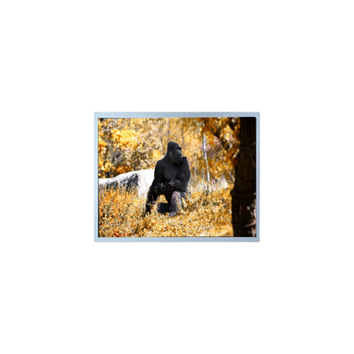 Buen precio Panel de pantalla LCD original de 7,0 pulgadas 800*480 PW070WX2 en línea