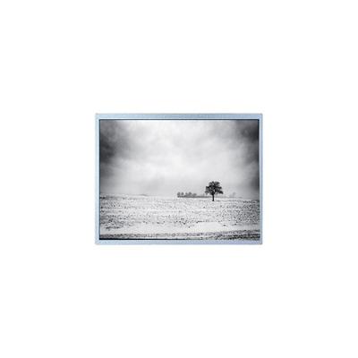 Buen precio nuevo PW080XU4 480*220 8.0 pulgadas 60Hz 30 pines Panel de pantalla LCD en línea