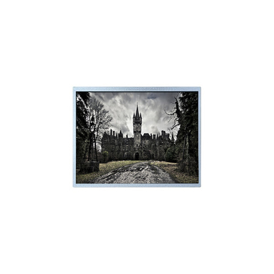 Buen precio Nueva pantalla LCD de 8,0 pulgadas PW080XU9 480*220 para pantalla de automóviles en línea