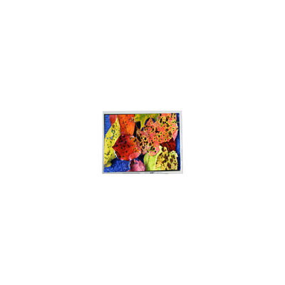 Buen precio 800*600 AM-80060K3TMQW-02H Pantalla LCD LVDS de 10,4 pulgadas en línea