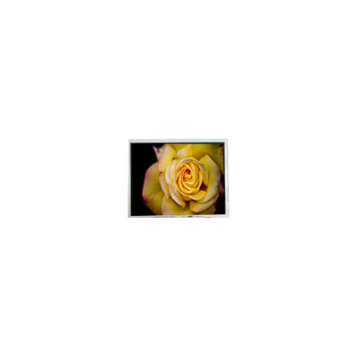 Buen precio Nueva pantalla LCD de 5,7 pulgadas AM-320240NTMQW-00H-F 320*240 en línea