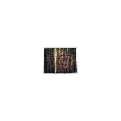 Buen precio Pantalla LCD original de 5,7 pulgadas 640*480 AM-640480G2TNQW-W0H 500 cd/m2 en línea