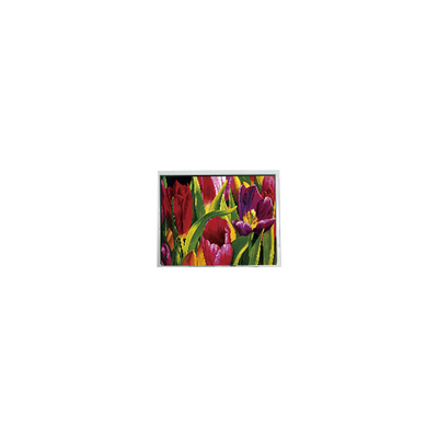 Buen precio AM-800480LATMQW-TN0H-L 800*480 Panel LCD WLED de 5,0 pulgadas 3S6P en línea