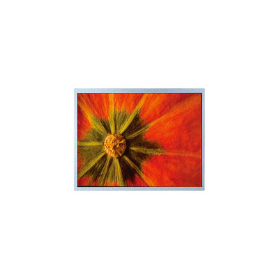 Buen precio Pantalla LCD TFT original de 1024*600 AM-1024600LTMQW-T05H-A en línea