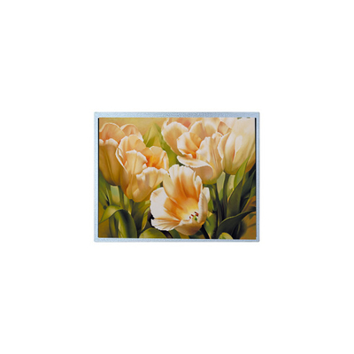 Buen precio 9.0 pulgadas 1024*600 AM-1024600Y2TZQW-A0H TFT 1200 cd/m2 Panel de pantalla LCD en línea