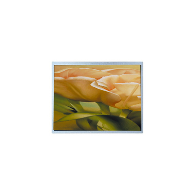 Buen precio AM-1024600Y3TZQW-A0H 9.0 pulgadas Panel de pantalla LCD TFT Industrial en línea