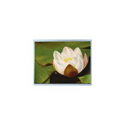 Buen precio AM-1024768M2TMQW-T06H 1024*768 10.4 pulgadas PCAP TFT Parts de pantalla LCD en línea