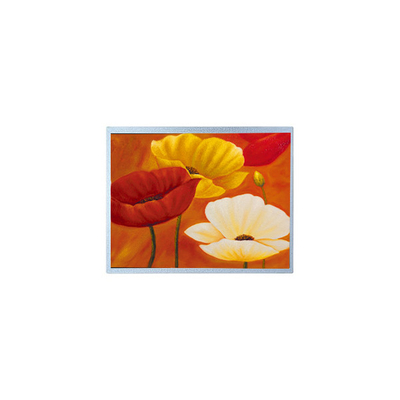 Buen precio AM-1024768QTMQW-00H 15.0 pulgadas 1024*768 20 pines Panel de pantalla TFT LCD en línea