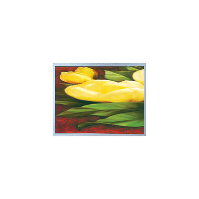 Buen precio Venta caliente de 12,1 pulgadas AM-1024768R2TNQW-T00H 1024*768 Pantalla LCD TFT en línea