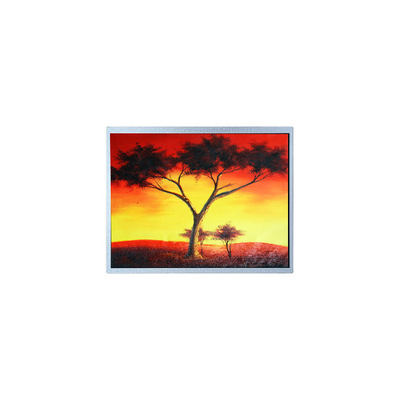 Buen precio AM-1024768Z6TZQW-00H 1024*768 12,1 pulgadas 1300 cd/m2 Pantalla LCD TFT en línea