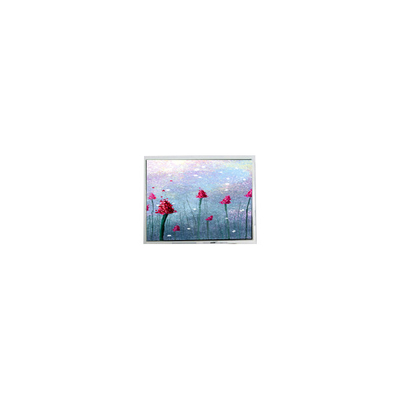 Buen precio 5.2 pulgadas DMF5005N-SEW-ABE-CP 240 * 64 70Hz pantalla LCD en línea