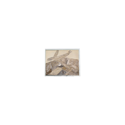 Buen precio Nueva pantalla LCD de 5,2 pulgadas 240*64 DMF5005NYJ-LY-BXE-CU de 70Hz en línea