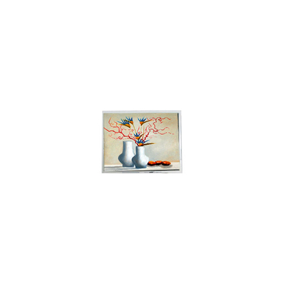 Buen precio Nuevo módulo de pantalla LCD de 5,2 pulgadas DMF5010NB-FW-BC 400 cd/m2 en línea