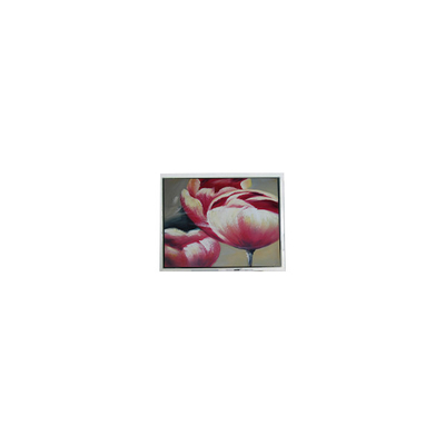 Buen precio Panel LCD de 70 Hz de 5,2 pulgadas en línea