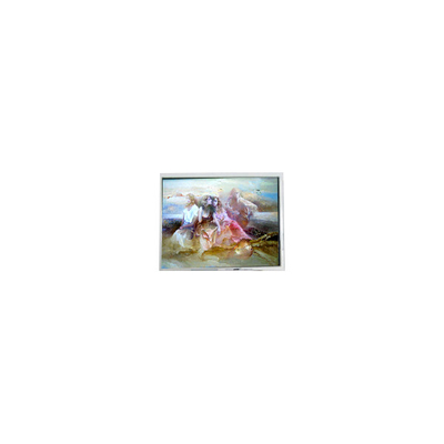 Buen precio Panel LCD original de 9,6 pulgadas 640*200 DMF-50036ZNFU-FW para el sector industrial en línea