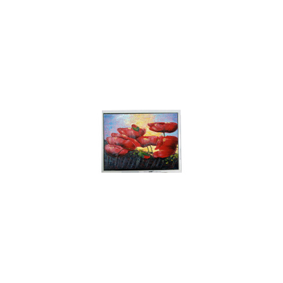 Buen precio Venta caliente 6.5 pulgadas 640*480 T-55629D065J-LW-A-ABN Pantalla de pantalla LCD en línea