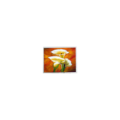 Buen precio T-55694D106J-LW-A-AAN 10.6 pulgadas 1280*768 1000 cd/m2 Pantalla LCD en línea