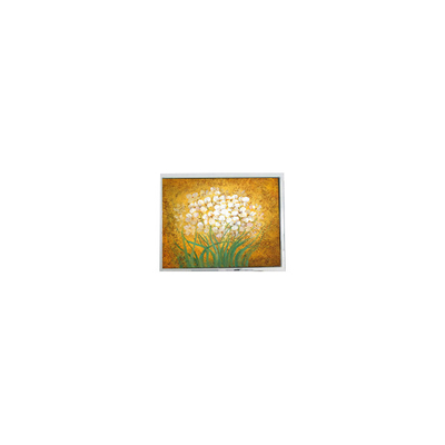 Buen precio 19.0 pulgadas T-55699D190J-LW-A-AAN Panel LCD para alta luminosidad exterior en línea