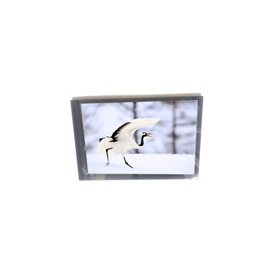 Buen precio 10.1 pulgadas TM101JVHG30-05 PCAP pantalla TFT-LCD en línea