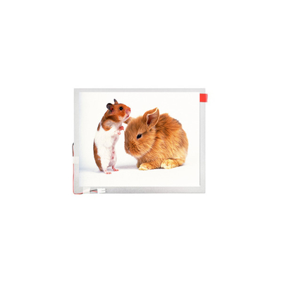 Buen precio 10.1 pulgadas TM101JVHG44-00 LVDS Panel TFT-LCD Pantalla de pantalla de pantalla de LCD en línea
