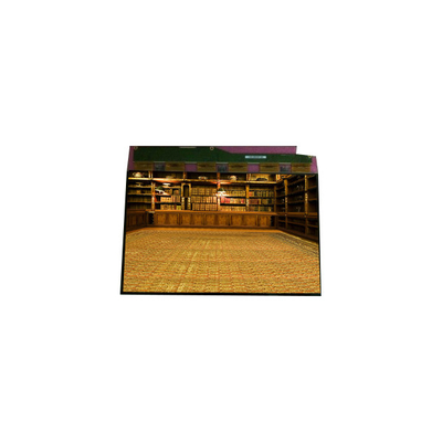 Buen precio Venta caliente 1600*1200 TM201XDHP01 Display LCD LVDS de 20,1 pulgadas en línea