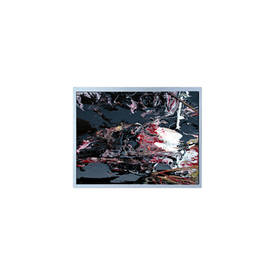 Buen precio P1210WXF1MA01 12.1 pulgadas LVDS módulo de panel LCD TFT en línea